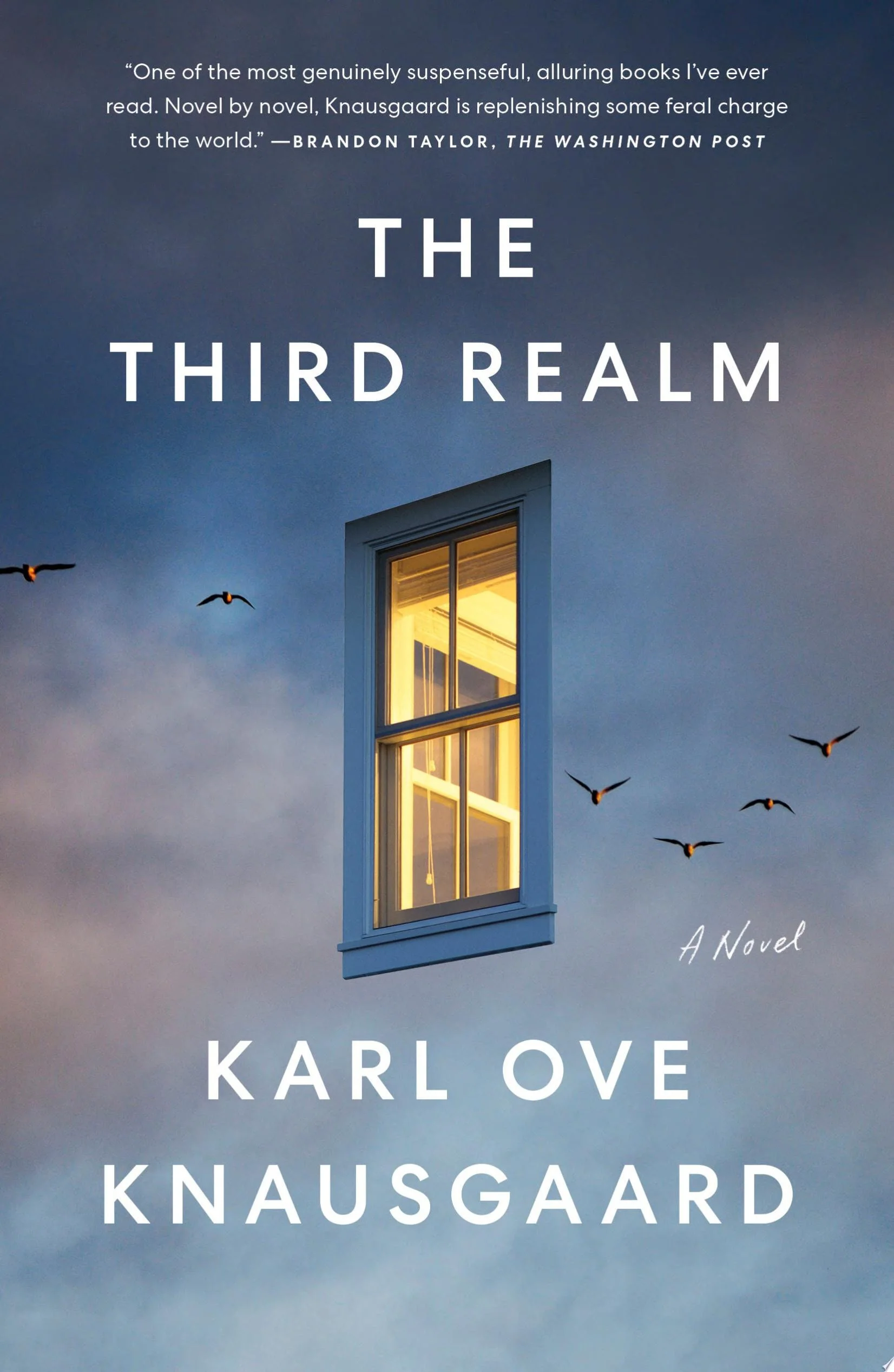 The Third Realm A Novel