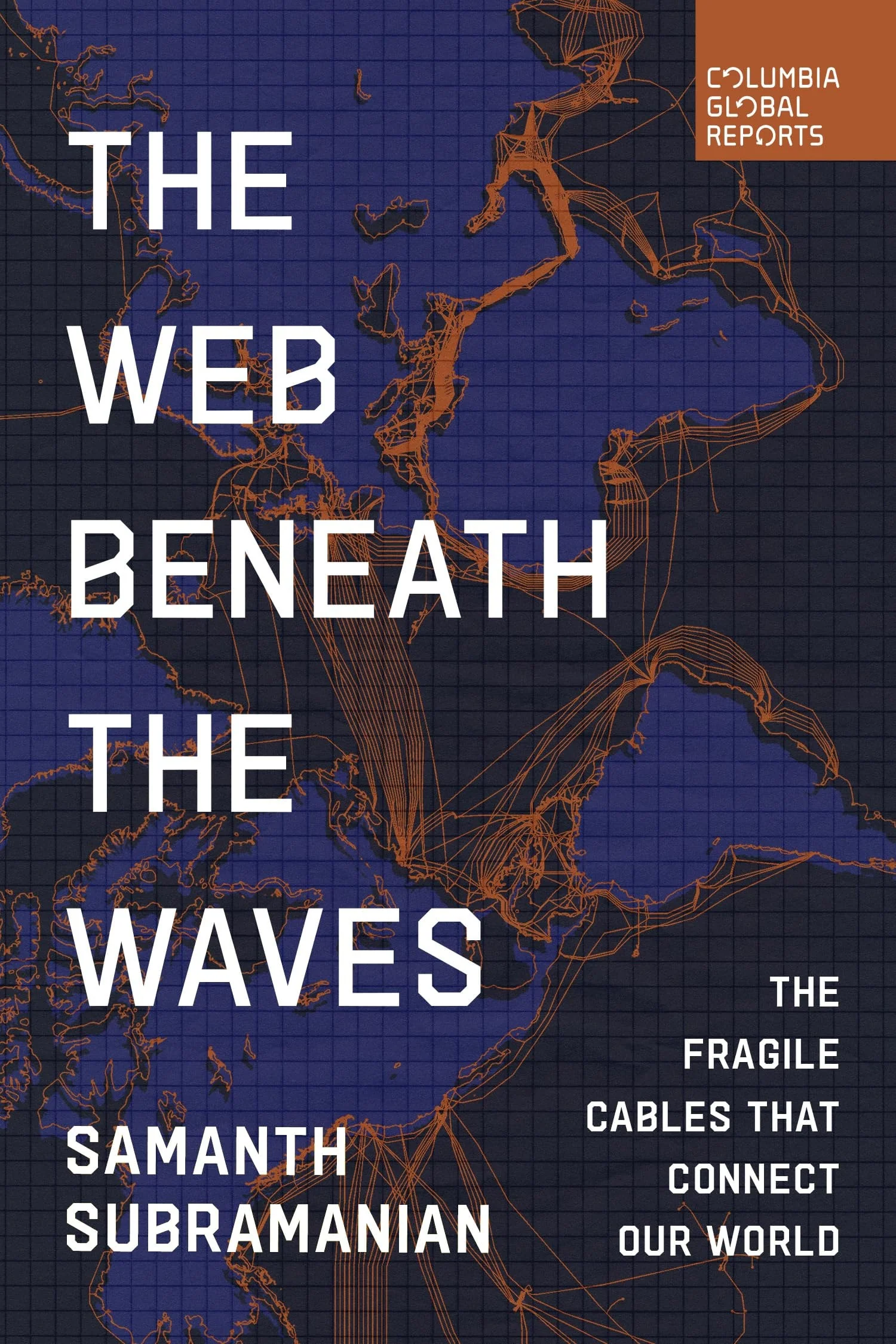 The Web Beneath the Waves The Fragile Cables That Connect Our World