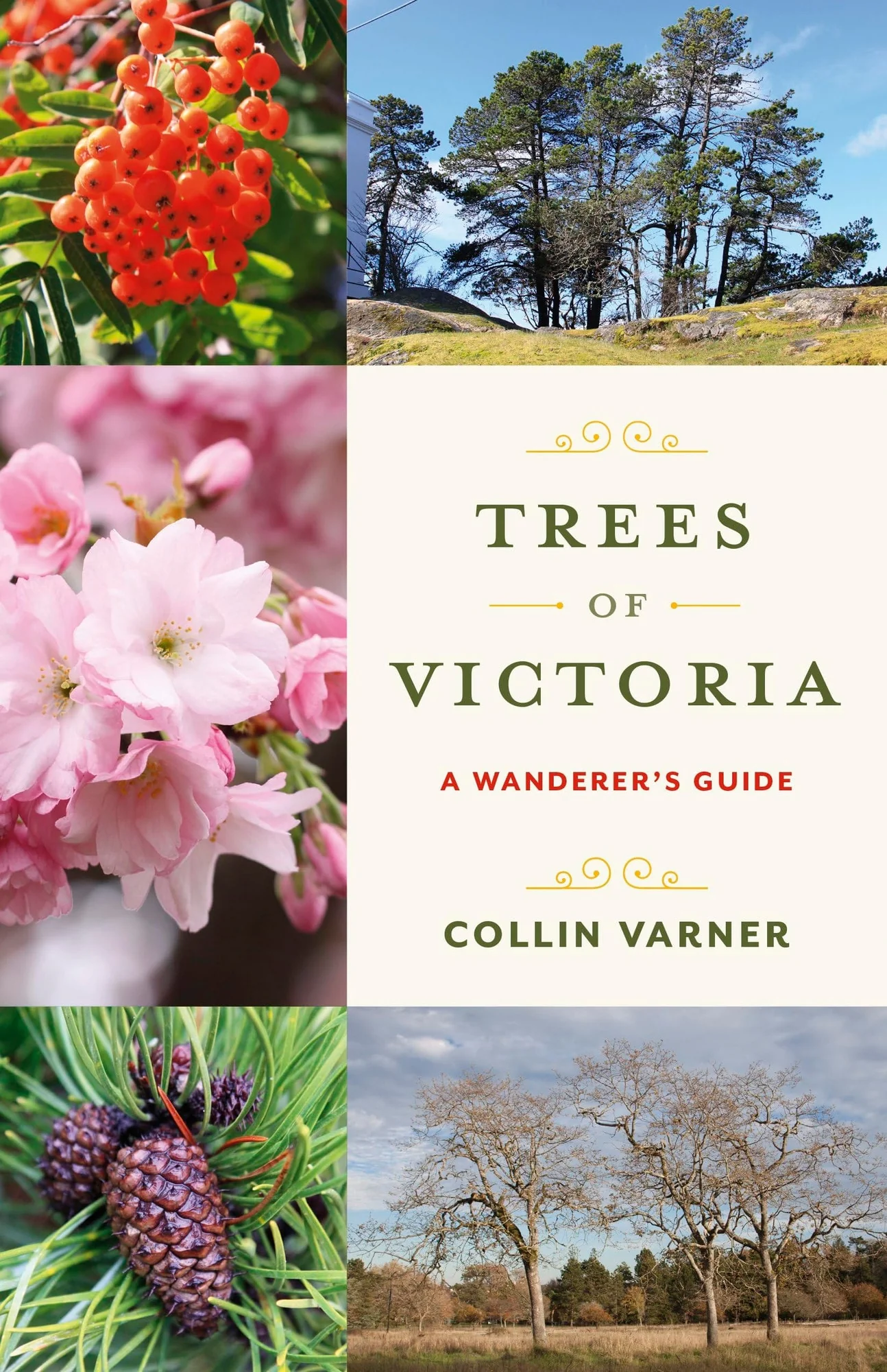 Trees of Victoria A Wanderer's Guide