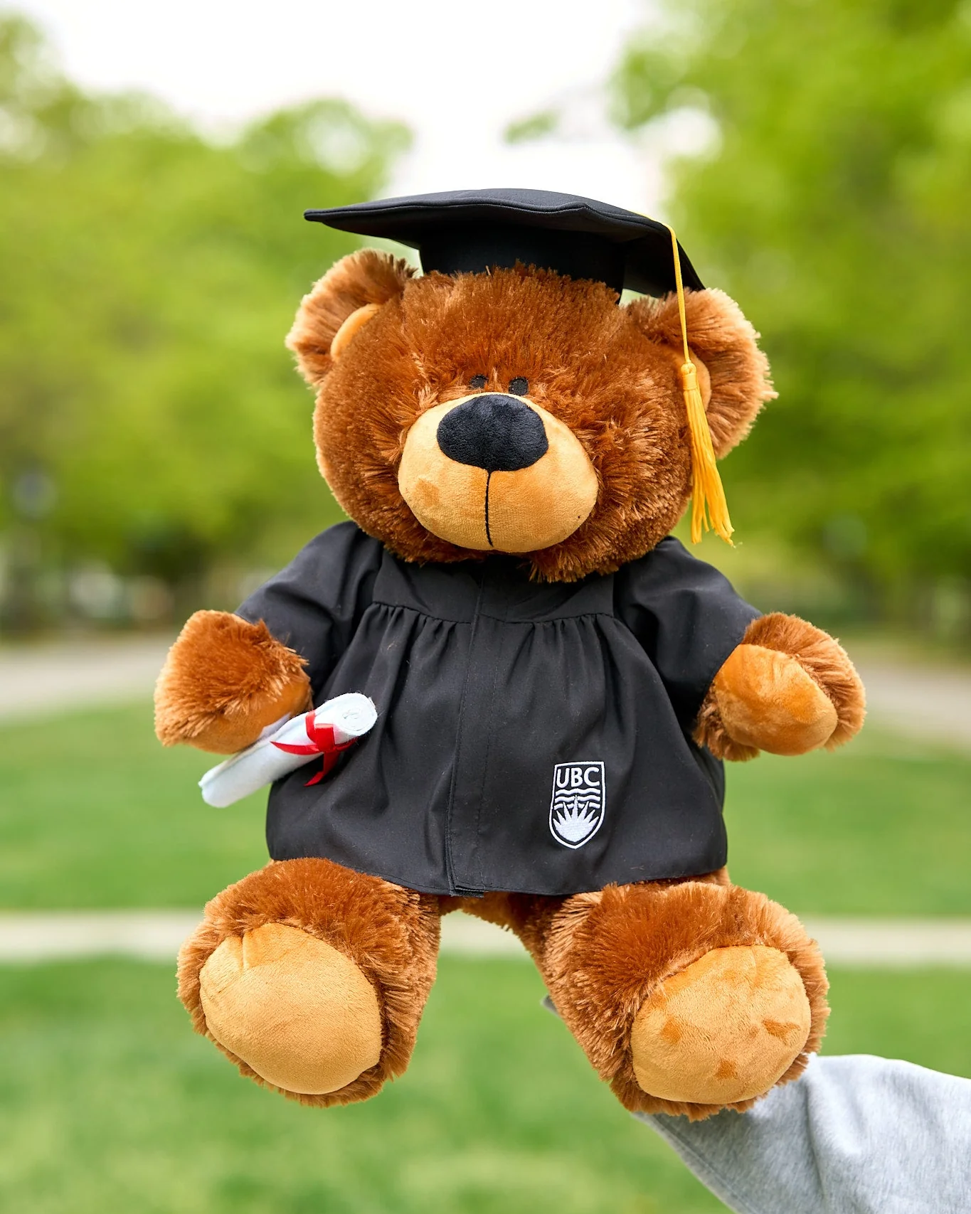 UBC Grad Bobby Bear Plush Large - Image 2