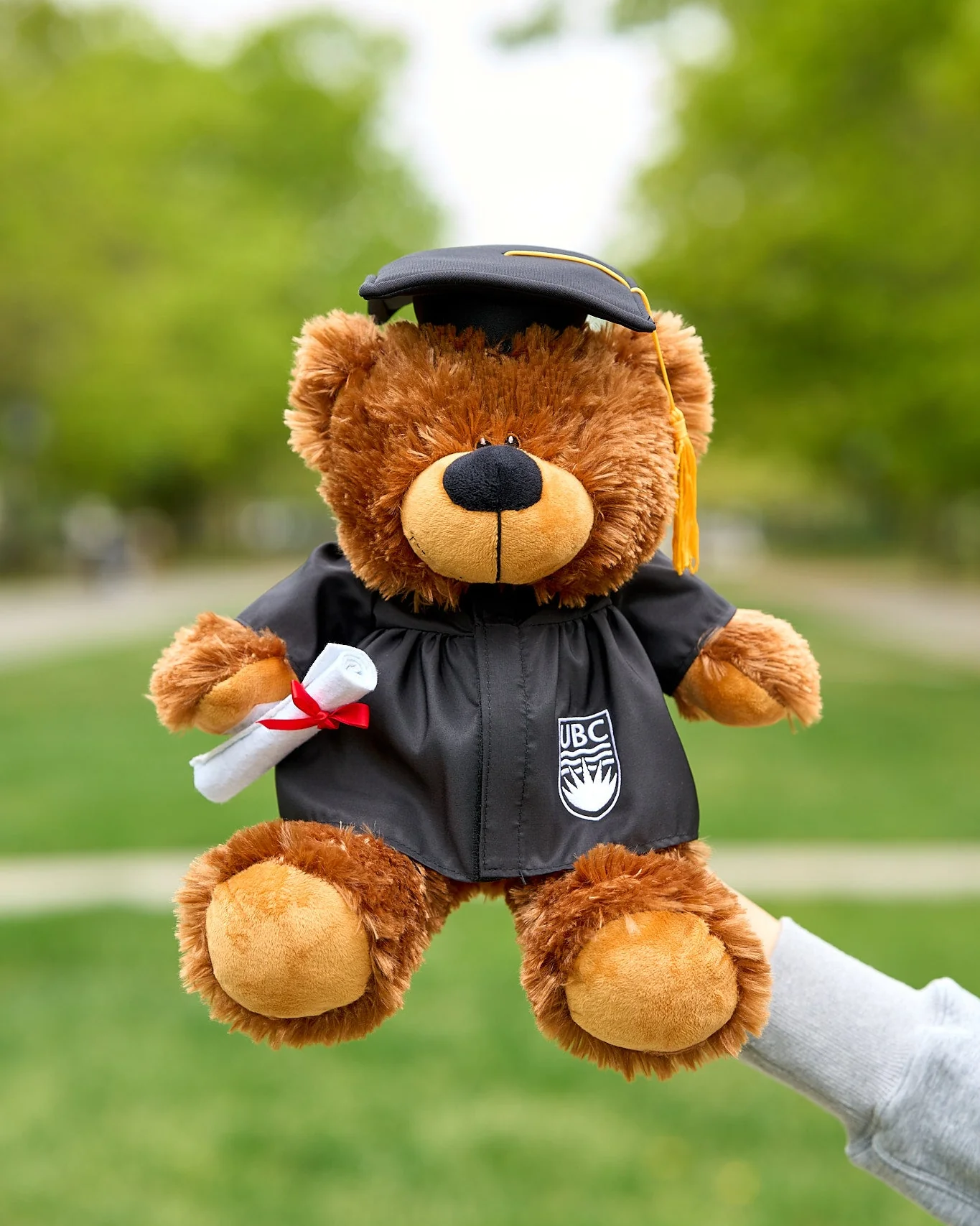 UBC Grad Bobby Bear Plush - Image 2