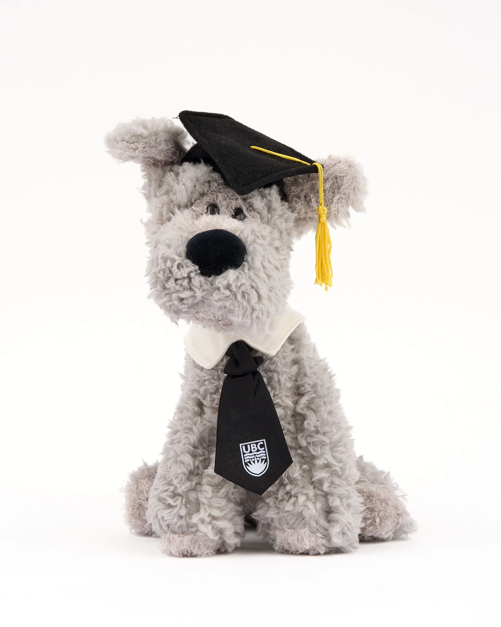 UBC Grad Schnauzer Plush