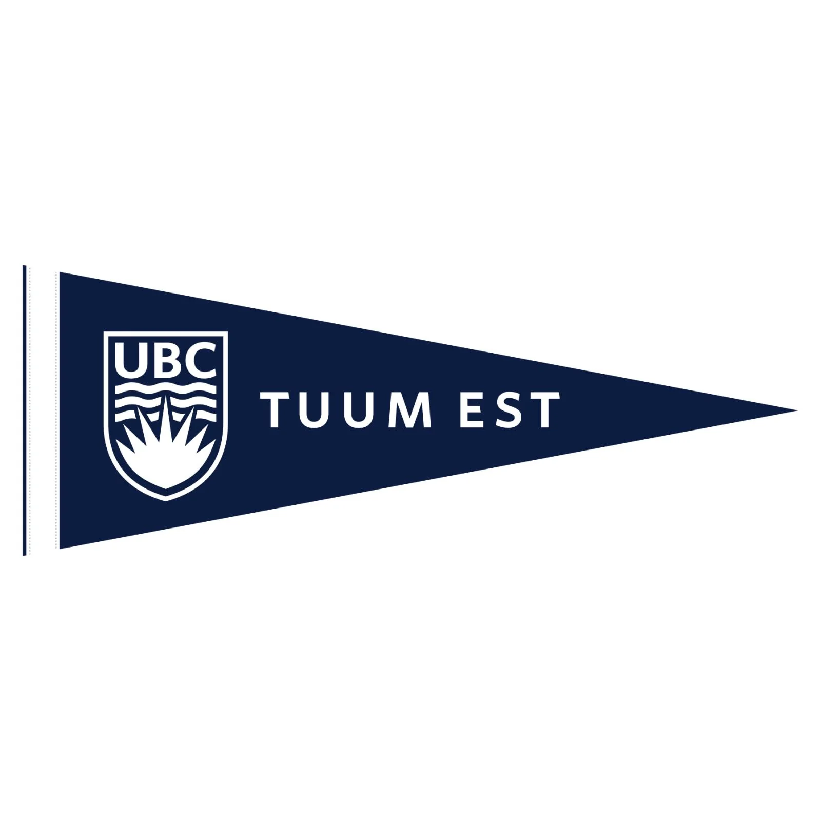 UBC Premium Felt Pennant, 9" X 24"