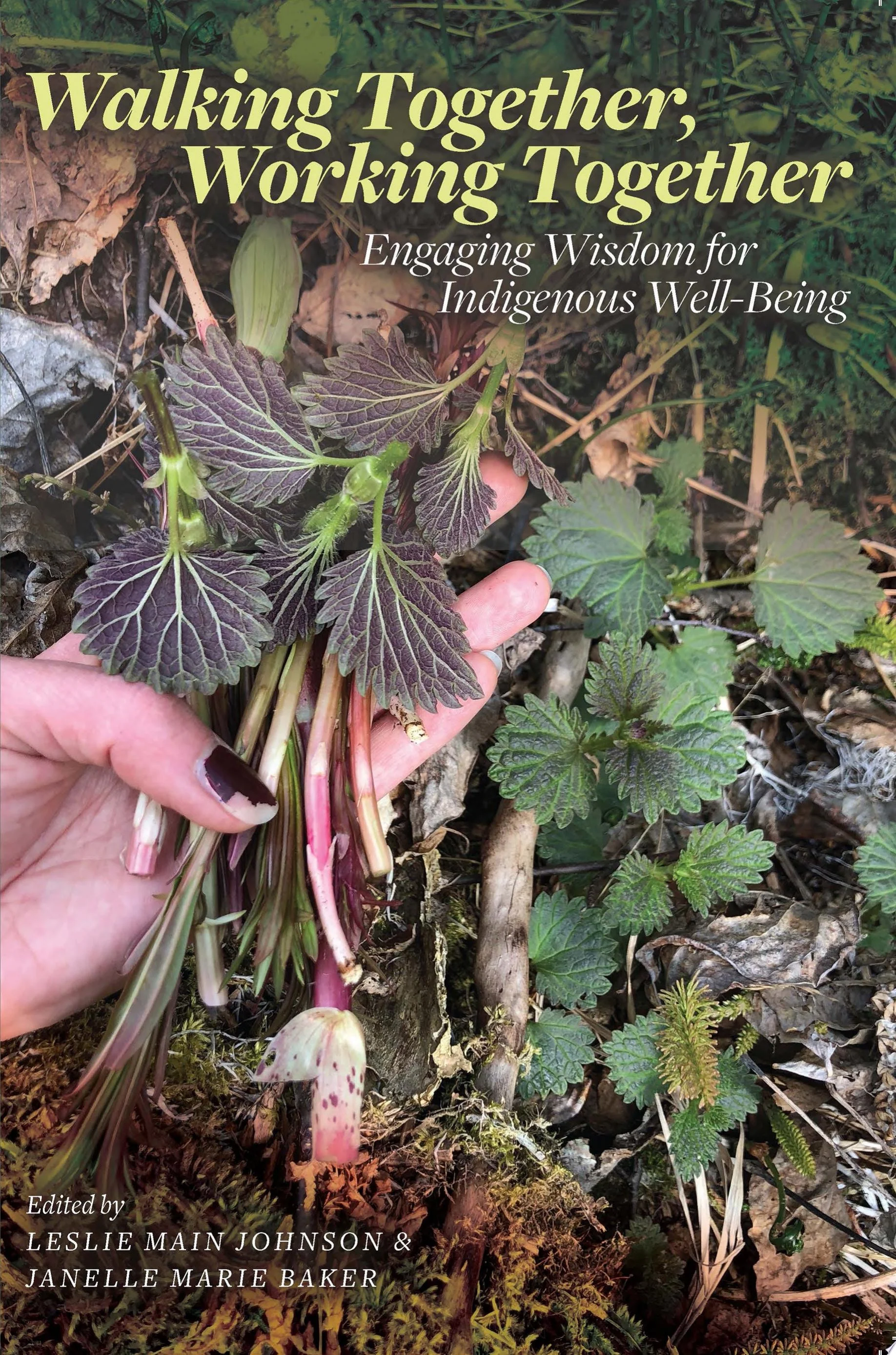 Walking Together, Working Together Engaging Wisdom for Indigenous Well-Being
