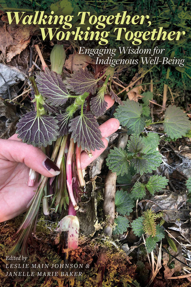 Walking Together, Working Together Engaging Wisdom for Indigenous Well-Being - Image 2