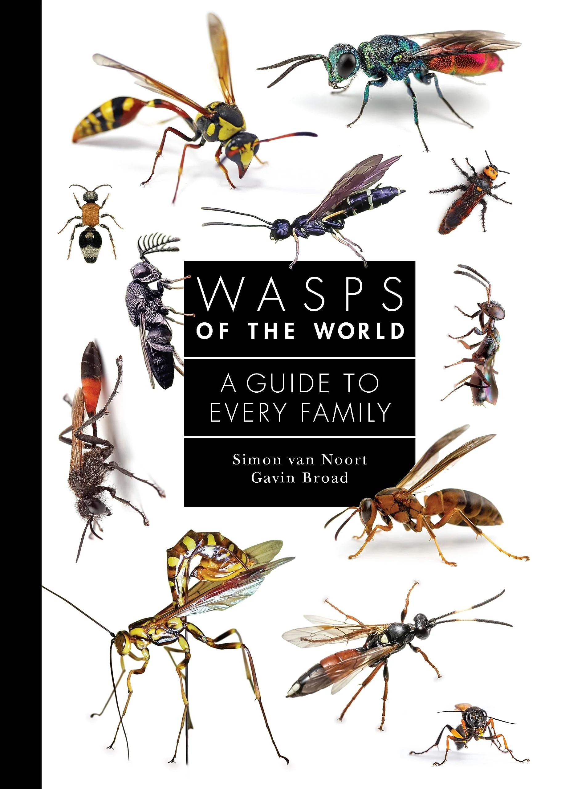 Wasps of the World A Guide to Every Family