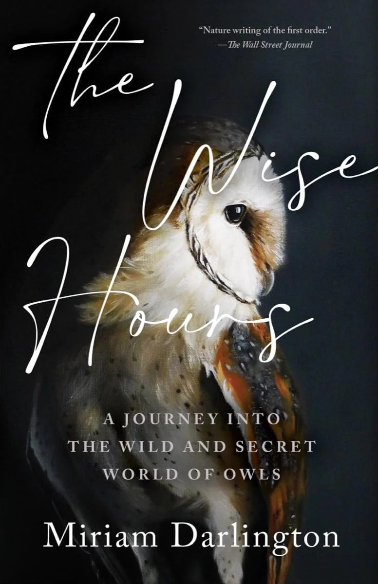 The Wise Hours A Journey Into the Wild and Secret World of Owls